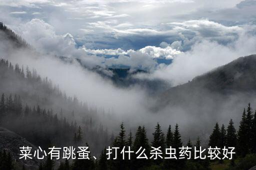 蘿卜菜長蟲打什么農(nóng)藥最好,菜長蟲了買什么農(nóng)藥