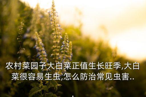 菜地蟲子用什么農藥好,葉片上的蟲子用什么農藥
