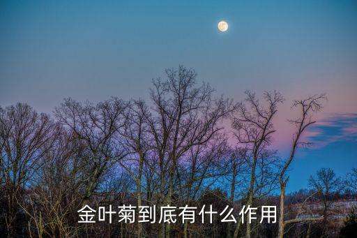 甜葉菊黃葉打什么農藥