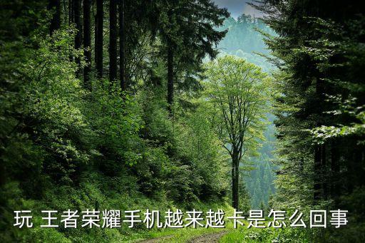 玩 王者榮耀手機(jī)越來越卡是怎么回事
