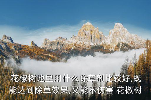  花椒樹地里用什么除草劑比較好,既能達(dá)到除草效果,又能不傷害 花椒樹