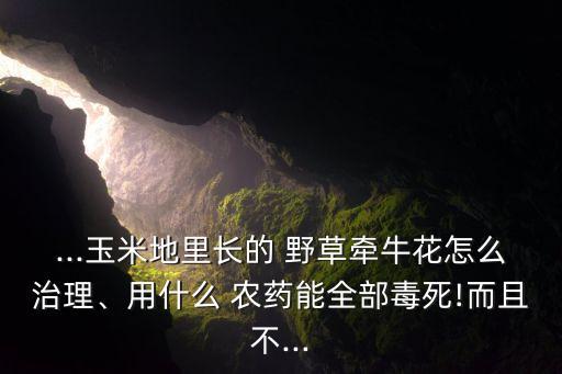 什么農藥打野草最好使,一般什么時間打農藥最好