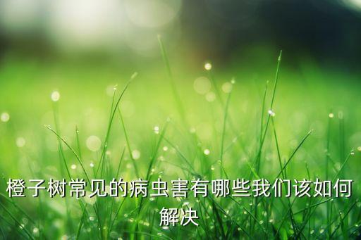 臍橙現(xiàn)在要打什么農(nóng)藥,臍橙病害用什么農(nóng)藥