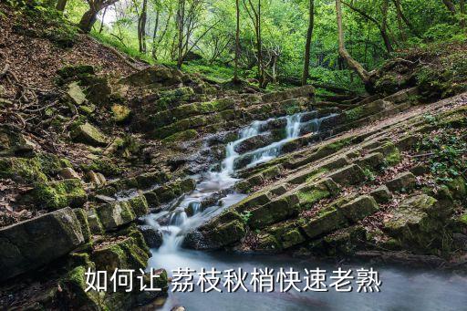 荔枝不熟要用什么農(nóng)藥