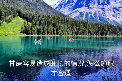  甘蔗容易造成旺長的情況,怎么施肥才合適
