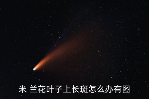 米蘭花用什么農(nóng)藥