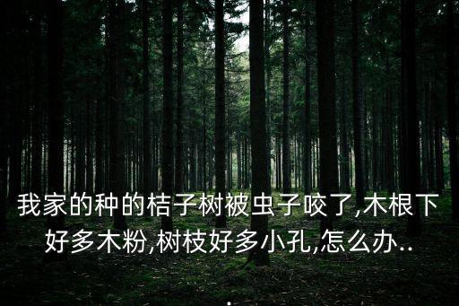 樹根有蟲用什么農藥,樹根里的大白蟲叫什么