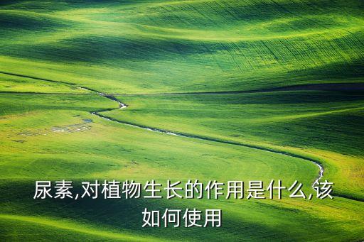  尿素,對(duì)植物生長(zhǎng)的作用是什么,該如何使用