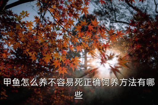 甲魚怎么養不容易死正確飼養方法有哪些