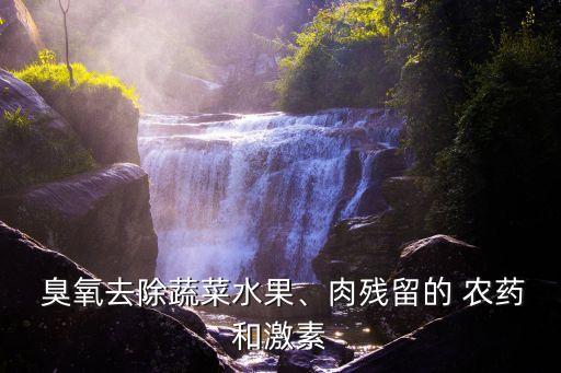  臭氧去除蔬菜水果、肉殘留的 農(nóng)藥和激素