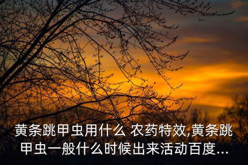 黃條跳甲蟲用什么 農藥特效,黃條跳甲蟲一般什么時候出來活動百度...