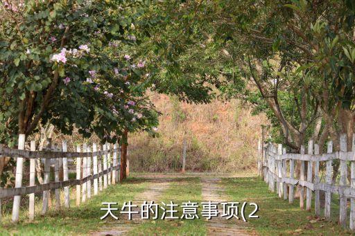 天牛噴什么農藥好了不能吃