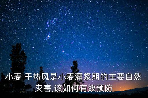 什么農(nóng)藥能防干熱風(fēng)