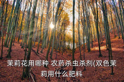 茉莉花用哪種 農藥殺蟲殺劑(雙色茉莉用什么肥料