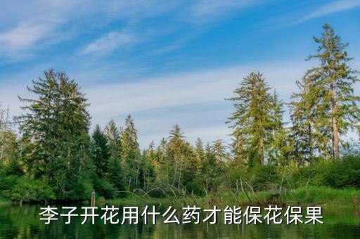 很紅很大的李子叫什么,李子什么農藥最紅