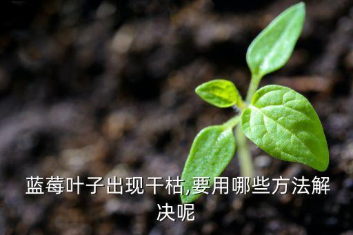藍(lán)莓要噴什么農(nóng)藥,藍(lán)莓可以用什么農(nóng)藥