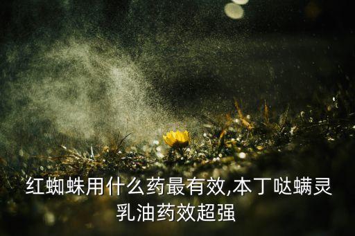  紅蜘蛛用什么藥最有效,本丁噠螨靈乳油藥效超強