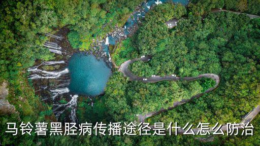 土豆炸的時候黑什么原因,土豆黑莖打什么農藥