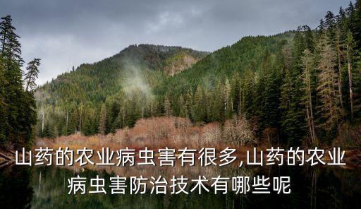 山藥的農業病蟲害有很多,山藥的農業病蟲害防治技術有哪些呢