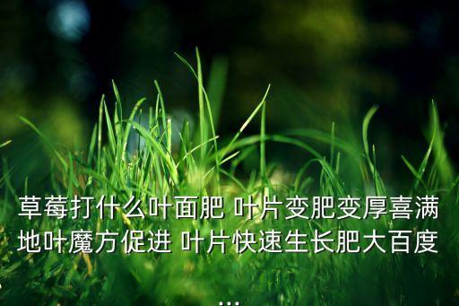 草莓打什么葉面肥 葉片變肥變厚喜滿地葉魔方促進 葉片快速生長肥大百度...