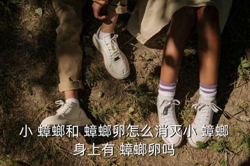 用什么農(nóng)藥可以殺死蟑螂蟲卵,什么農(nóng)藥能殺死蟑螂