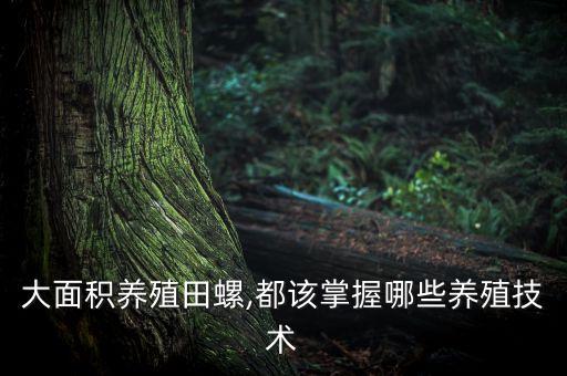 大面積養殖田螺,都該掌握哪些養殖技術