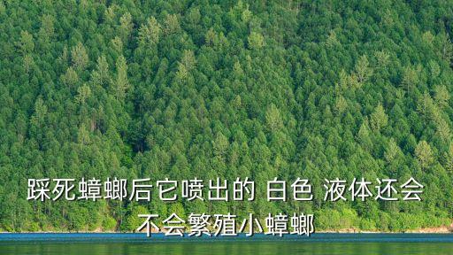 有機磷農藥的殺蟲機理是什么,殺蟲農藥白色液體是什么