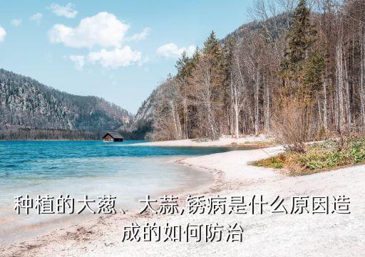 種植的大蔥、大蒜,銹病是什么原因造成的如何防治
