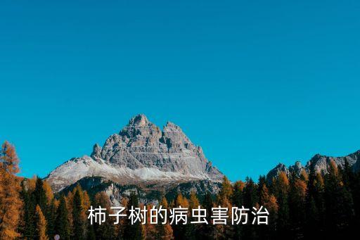 柿孑樹不能噴什么農藥