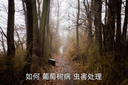 葡萄的蟲害防治用什么農(nóng)藥