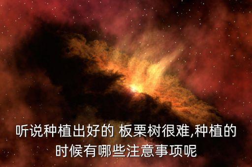 立冬板栗樹打什么農藥合適