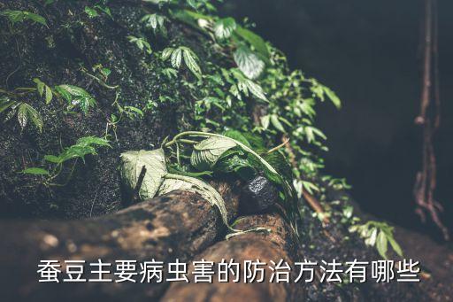 種蠶豆用什么農藥好使些,蠶豆不能打什么農藥