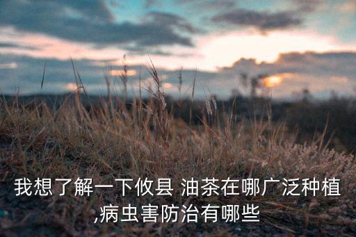 我想了解一下攸縣 油茶在哪廣泛種植,病蟲害防治有哪些
