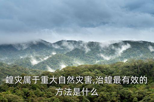蝗災屬于重大自然災害,治蝗最有效的方法是什么