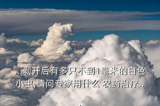 ...剝開后有多只不到1毫米的白色小蟲,請問專家用什么 農藥治療...