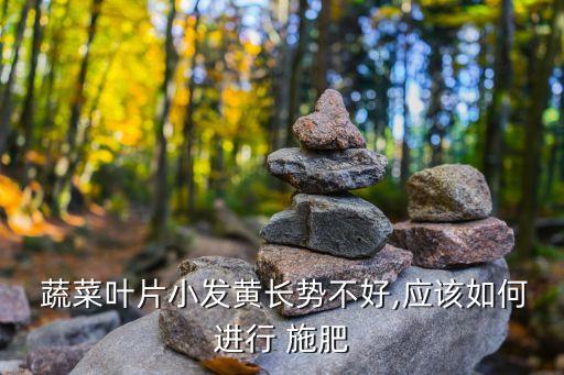 蔬菜要施肥方法有什么農藥