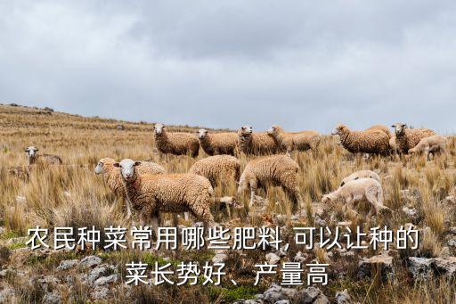 農民種菜常用哪些肥料,可以讓種的 菜長勢好、產量高