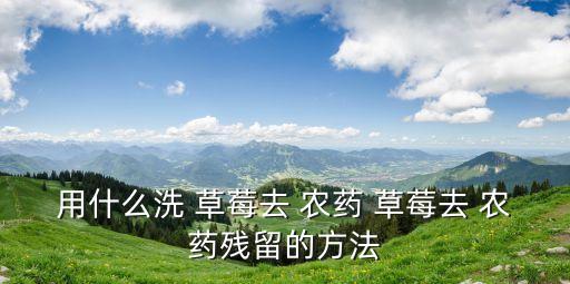 用什么洗 草莓去 農藥 草莓去 農藥殘留的方法