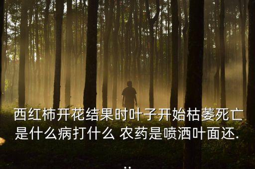 為什么西紅柿打農(nóng)藥,西紅柿皮有農(nóng)藥嗎