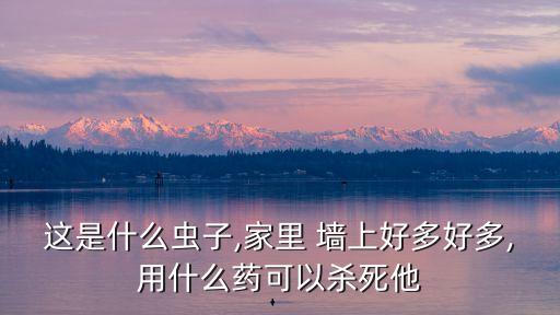 這是什么蟲子,家里 墻上好多好多,用什么藥可以殺死他