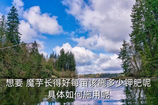 想要 魔芋長得好每畝該施多少鉀肥呢具體如何施用呢