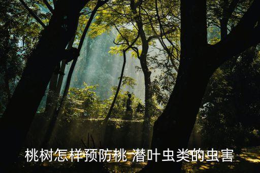 桃樹怎樣預防桃 潛葉蟲類的蟲害