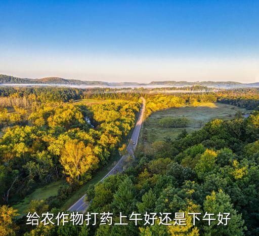 給農(nóng)作物打藥上午好還是下午好