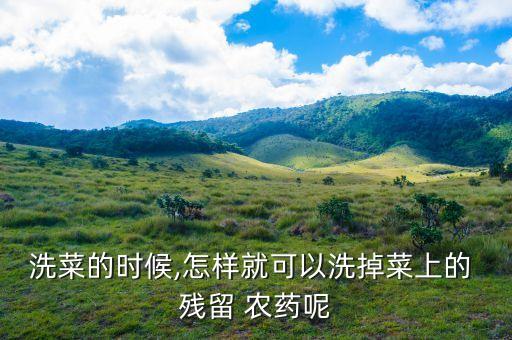 用什么泡蔬菜去掉農藥殘留,蔬菜泡鹽水多久去農藥殘留
