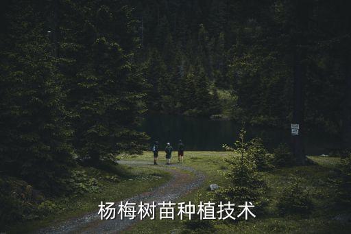  楊梅樹苗種植技術