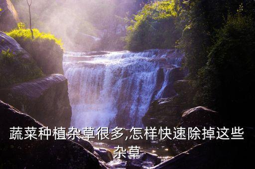 蔬菜種植雜草很多,怎樣快速除掉這些雜草
