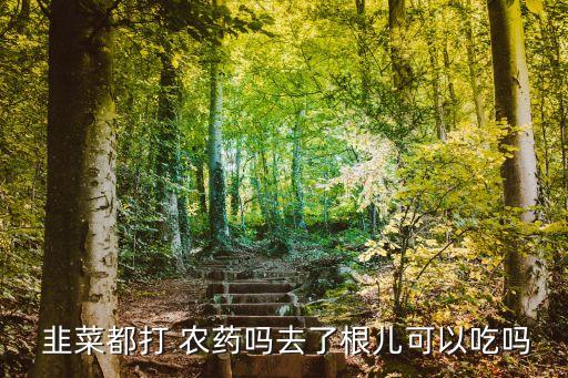  韭菜都打 農(nóng)藥嗎去了根兒可以吃嗎