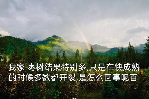 我家 棗樹結果特別多,只是在快成熟的時候多數都開裂,是怎么回事呢百...