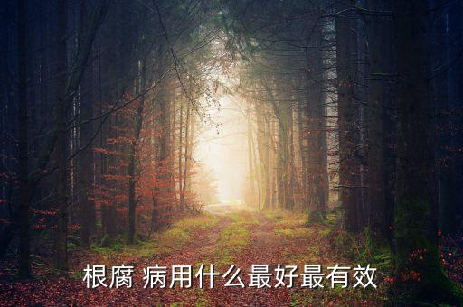 根腐 病用什么最好最有效