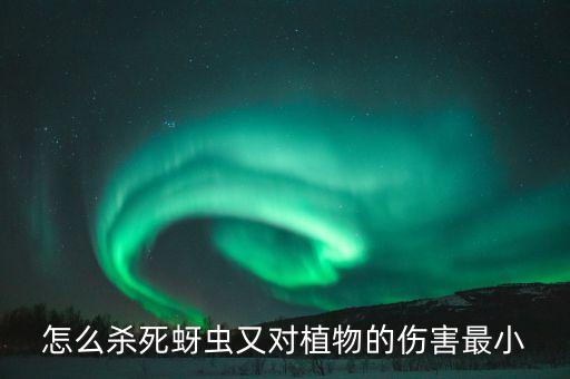 農藥牙蟲什么最好,用什么農藥消滅牙蟲
